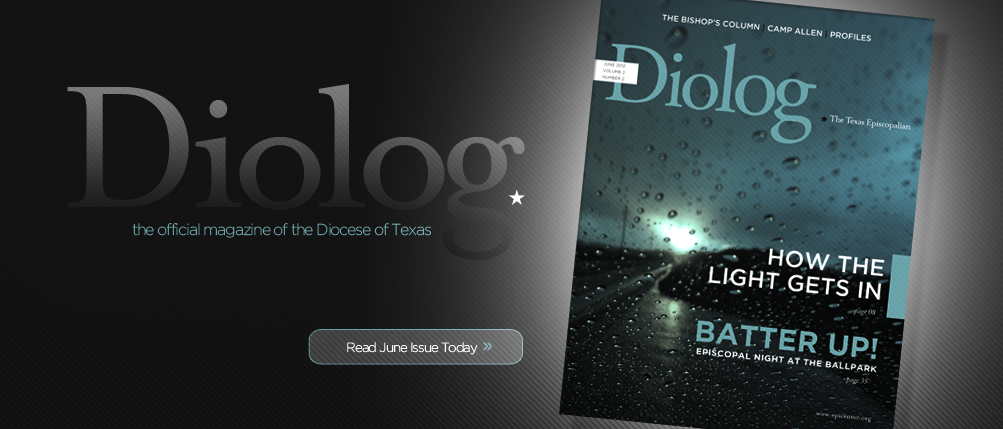 Diolog Magazine Subscription or Mailing List Change Form
