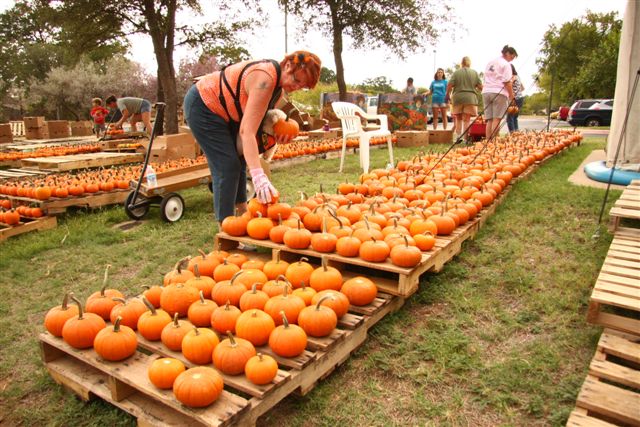 St. Richard's Pumpkin 3