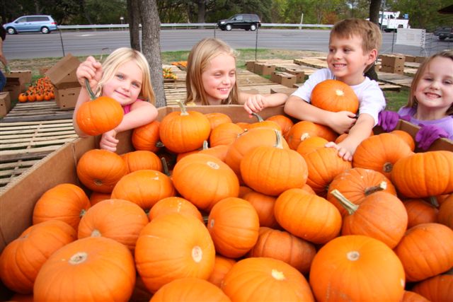 St. Richard's Pumpkin 4